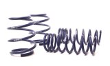 H&R 05-11 BMW M6 E64 Sport Spring thumbnail 1