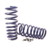 H&R 07-13 BMW X5 E70 Sport Spring (w/Self-Leveling/Incl. Diesel) thumbnail 3