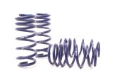H&R 13-18 BMW M6/M6 Convertible F12/F13 Sport Spring thumbnail 1
