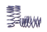H&R 13-18 BMW M6/M6 Convertible F12/F13 Sport Spring thumbnail 2