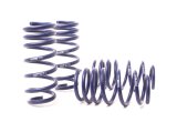 H&R 13-18 BMW M6/M6 Convertible F12/F13 Sport Spring thumbnail 3