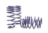 H&R 13-18 BMW M6/M6 Convertible F12/F13 Sport Spring thumbnail 8