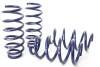 H&R 19-22 Tesla Model 3 Standard Range/Standard Range+ (RWD) Sport Spring (Non Air Susp.) thumbnail 4