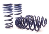 H&R 14-18 BMW X5 xDrive35d/X5 xDrive35i F15 Sport Spring (w/o Self-Leveling/Non 2WD) thumbnail 4