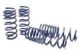 H&R 14-19 BMW M6 Gran Coupe F06 Sport Spring thumbnail 1