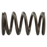 Industrial Injection 110 LBS Single Valve Spring Set thumbnail 1