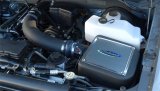 Volant 09-10 Ford F-150 Raptor 5.4 V8 Pro5 Closed Box Air Intake System thumbnail 5