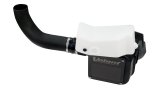 Volant 10-10 Ford F-150 SVT Raptor 6.2 V8 Pro5 Closed Box Air Intake System thumbnail 1