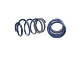 Ford Racing 2005-2014 Mustang GT 1.0in. Track Lowering Springs thumbnail 9