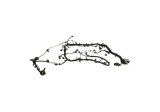Ford Racing 5.0L Coyote Engine Harness for Automatic Transmission thumbnail 5