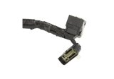 Ford Racing 5.0L Coyote Engine Harness for Automatic Transmission thumbnail 6