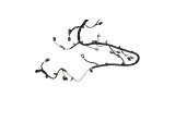 Ford Racing 5.0L Coyote Engine Harness for Automatic Transmission thumbnail 8