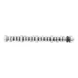 Ford Racing Small Block V-8 Hydraulic Roller Tappet Camshafts thumbnail 4