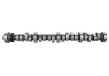 Ford Racing Small Block V-8 Hydraulic Roller Tappet Camshafts thumbnail 8