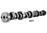 Ford Racing Small Block V-8 Hydraulic Roller Tappet Camshafts thumbnail 9