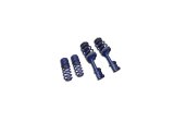 Ford Racing 2005-2014 Mustang GT Coupe Assembled Handling Pack thumbnail 8