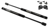 Ford Performance Parts Hood Lift Shocks for 2015-2022 MUSTANG - M-16826-MA Supports, Location, Gas Charged, Ford, Kit thumbnail 1