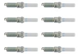 Ford Racing 21-25 F-150 5.0L Coyote (w/Variable Displacement) Cold Spark Plug Set thumbnail 6