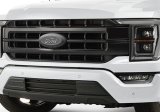 Ford Racing 2021 F-150 Black Painted Grille thumbnail 1