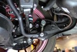 Progress Tech 2019 Toyota Corolla/C-HR Rear Sway Bar (27mm - Adjustable) thumbnail 1