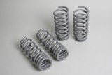 Progress Tech 04-10 Dodge Chrysler 300C/2009+ Dodge Challenger V8 Sport Springs thumbnail 1