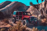 Body Armor 4x4 07-18 Jeep Wrangler JK Tube Doors Rear Pair thumbnail 5