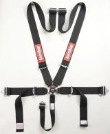 RaceQuip Black SFI CAMLOCK 5pt PD Lap Seat Belt thumbnail 1