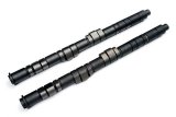 BLOX Racing Tuner Series HSL (High Speed Lift) Camshafts for B-series DOHC VTEC thumbnail 1