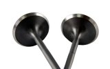BLOX Racing High Compression Intake Valve Set for Honda F20C (set of 8) thumbnail 1