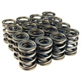 BLOX Racing Valve Springs for B18A-B / B20 (1.8L-2.0L DOHC) thumbnail 1
