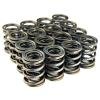 BLOX Racing Valve Springs for B18A-B / B20 (1.8L-2.0L DOHC) thumbnail 3