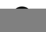 Whiteline Plus 1/90-10/07 Toyota Landcruiser 150 OD-110 ID-20mm T Spring-Pad/Trim Packer Bushing thumbnail 6