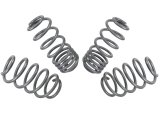 Whiteline 04-08 VW Golf Mk5 2.0 GTI Performance Lowering Springs thumbnail 4
