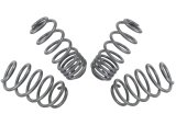 Whiteline 04-08 VW Golf Mk5 2.0 GTI Performance Lowering Springs thumbnail 7
