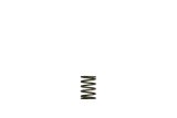 Turbosmart Gen-V WG38/40 3psi Black Inner Spring thumbnail 1