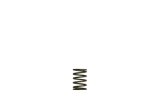Turbosmart Gen-V WG38/40 3psi Black Inner Spring thumbnail 2