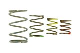 Turbosmart Gen V WG45/50 Spring Replacement Kit thumbnail 1