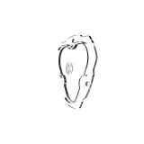 KC HiLiTES FLEX ERA 3 Replacement SAE Lens Only - Clear thumbnail 5