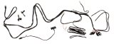ARB Intensity SOLIS Lighting Loom & Dimmer thumbnail 3