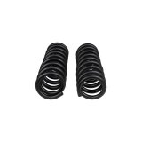 ARB / OME Front Coil Spring Set 03-23 Toyota 4Runner thumbnail 2