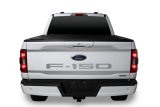 Putco 2021 Ford F-150 Ford Lettering (Cut Letters/Stainless Steel) Tailgate Emblems thumbnail 3