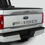 Putco 2021 Ford F-150 Ford Lettering (Cut Letters/Stainless Steel) Tailgate Emblems thumbnail 8