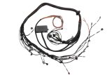 Haltech Elite 2000/2500 Terminated Engine Harness thumbnail 1