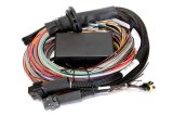 Haltech Elite 2500 Premium Universal Wire-In Harness ECU Kit - 5m (16ft) thumbnail 5