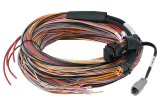 Haltech PD16 Flying Lead Harness 5M thumbnail 1