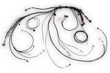 Haltech NEXUS Rebel LS Terminated Harness for ECU thumbnail 1