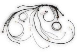 Haltech NEXUS Rebel LS Terminated Harness for ECU thumbnail 3