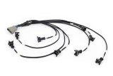 Haltech NEXUS Rebel LS EV1 Injector Sub-Harness thumbnail 2