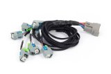 Haltech NEXUS Rebel LS EV6 Injector Sub-Harness thumbnail 1