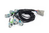 Haltech NEXUS Rebel LS EV6 Injector Sub-Harness thumbnail 2